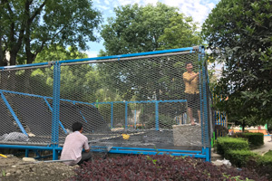 国色天香绳网乐园